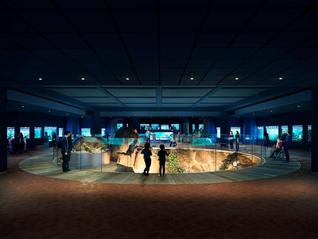Réouverture de l'Aquarium | Aquarium tropical