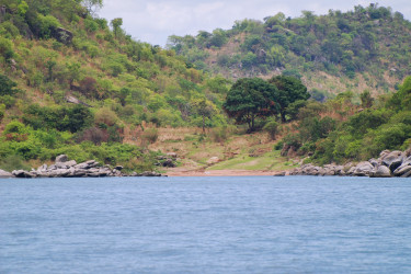 Le lac Tanganyika à l'Aquarium tropical | Aquarium tropical